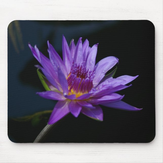 Purple Lotus Waterlily Mousepad (Front)