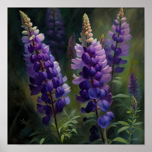 Purple Lupine Flower Art Print Poster