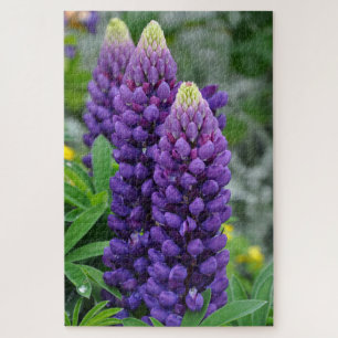 Purple lupine flowers jigsaw puzzle