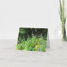 Purple lupines Folded Note Card