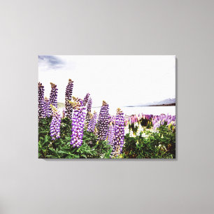 Purple Lupins Flowers : New Zealand Canvas