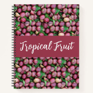 Purple Mangosteen Tropical Fruit  Notebook