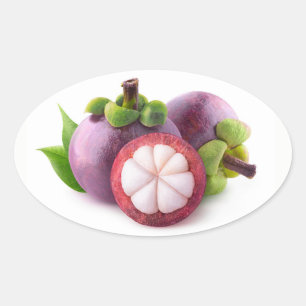 Purple mangosteens oval sticker