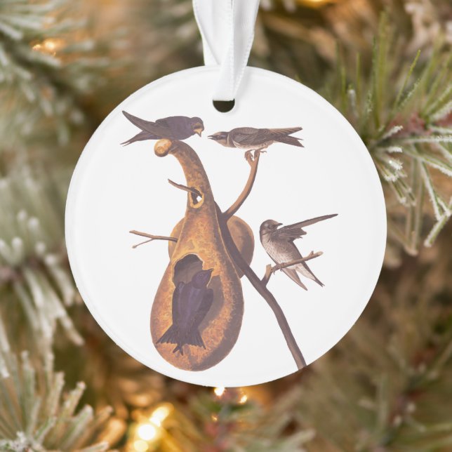 Purple Martin Audubon Bird Famille et Gourd Accuei (Arbre)