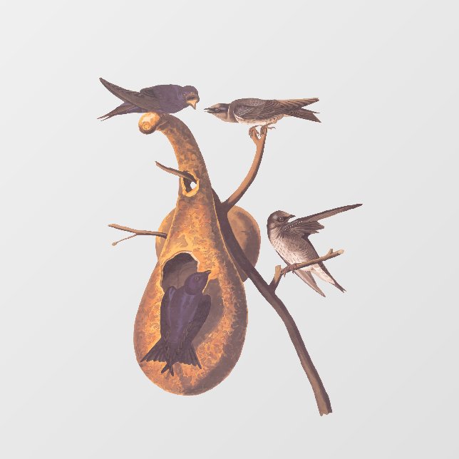 Purple Martin Audubon Bird Family and Gourd Home Window Cling (Sheet)