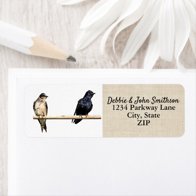 Purple Martin Birds Nature Retour Adresse Birding (En situation)