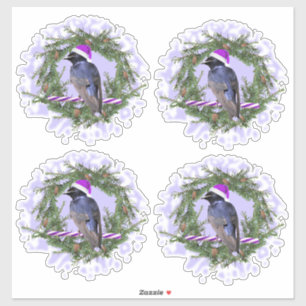 Purple Martin Holiday