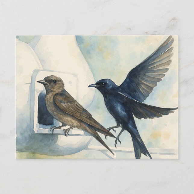 Purple Martin Landlord Nature Swallow Bird Gourds Postcard (Front)
