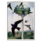 Purple Martins and Their Birdhouse