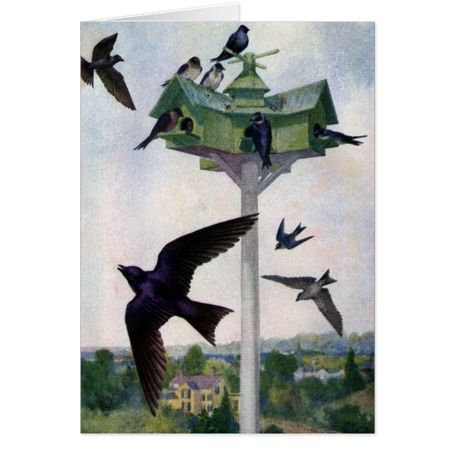 Purple Martins and Their Birdhouse (Front)