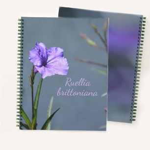 Purple Mexican Petunia Floral Customizable Notebook
