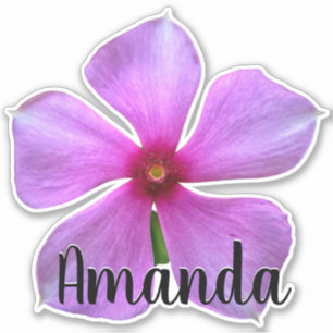 Purple Monogram Name Flower Nature Plant Cute