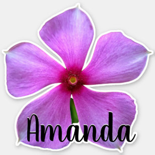 Purple Monogram Name Flower Nature Plant Cute