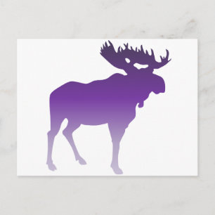 Purple Moose Postcard