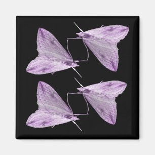 Purple Moth Art Magnet