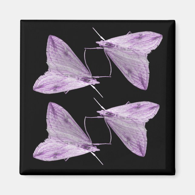 Purple Moth Art Magnet (Front)