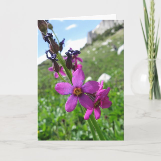 Purple Mountain Wildflower Note Card (Front)