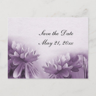 Purple Mums Postcard - Save the Date