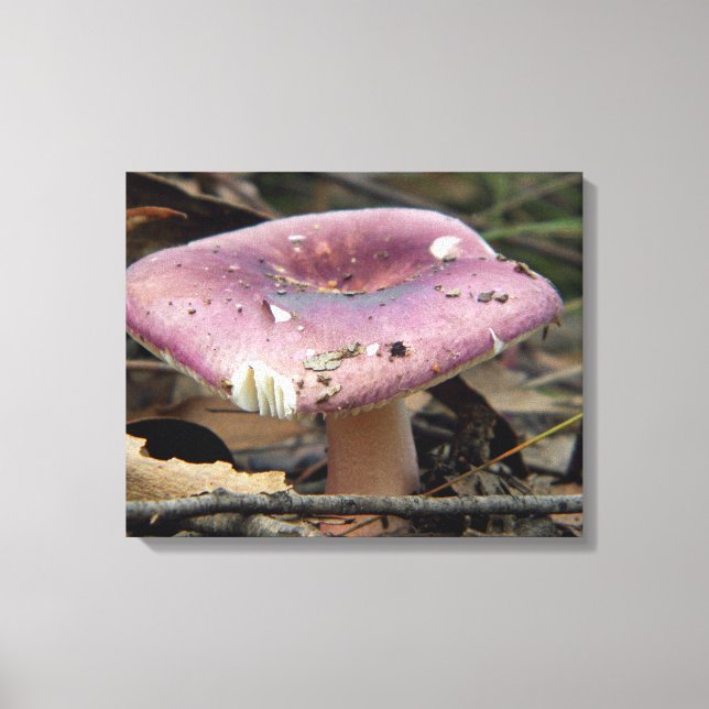 Purple Mushroom Wrapped Canvas (Front)