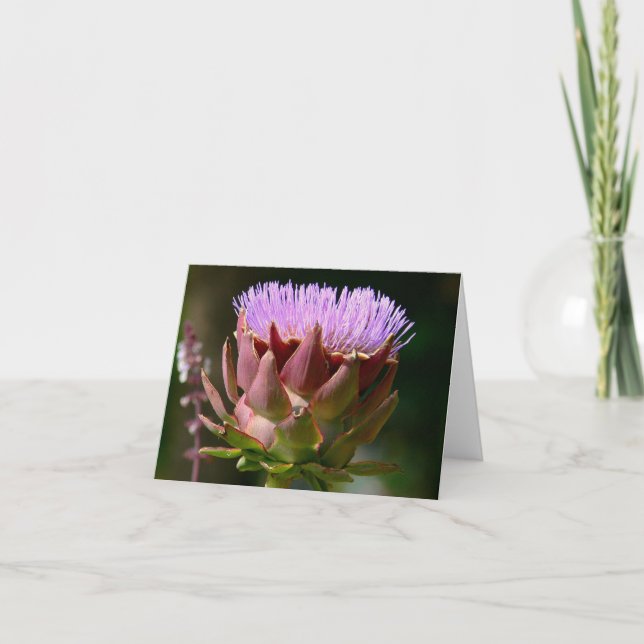 "PURPLE MUSK THISTLE"/PHOTOG. CARTE DE CORRESPONDA (Devant)