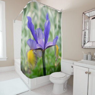Purple N Gold Iris II Shower Curtain