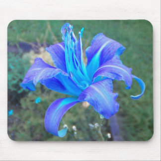 Purple N Turquoise Daylily Mousepad