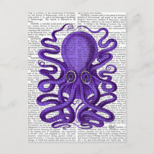 Purple Octopus Postcard