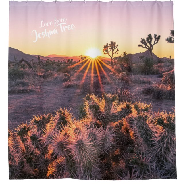 Purple Orange Cholla Cactus Joshua Tree Sunset art (Front)
