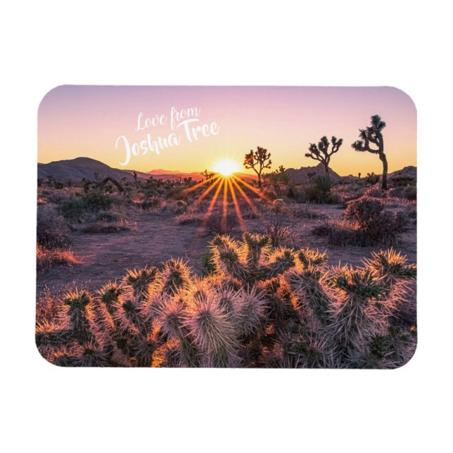 Purple Orange Cholla Cactus Joshua Tree Sunset Magnet (Horizontal)