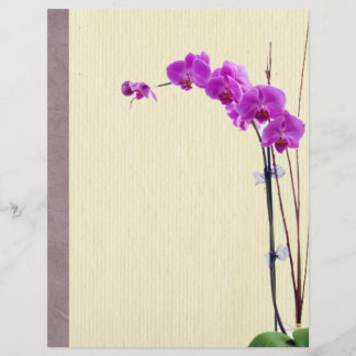 Purple orchid