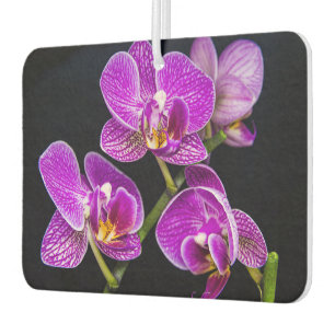 Purple orchid air freshener