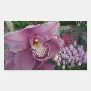 Purple Orchid and Garden Colourful Floral Sticker