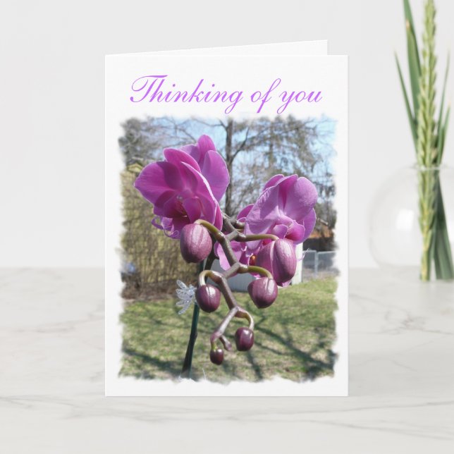 Purple Orchid Card (Front)
