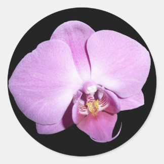 Purple Orchid Classic Round Sticker