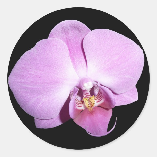 Purple Orchid Classic Round Sticker (Front)