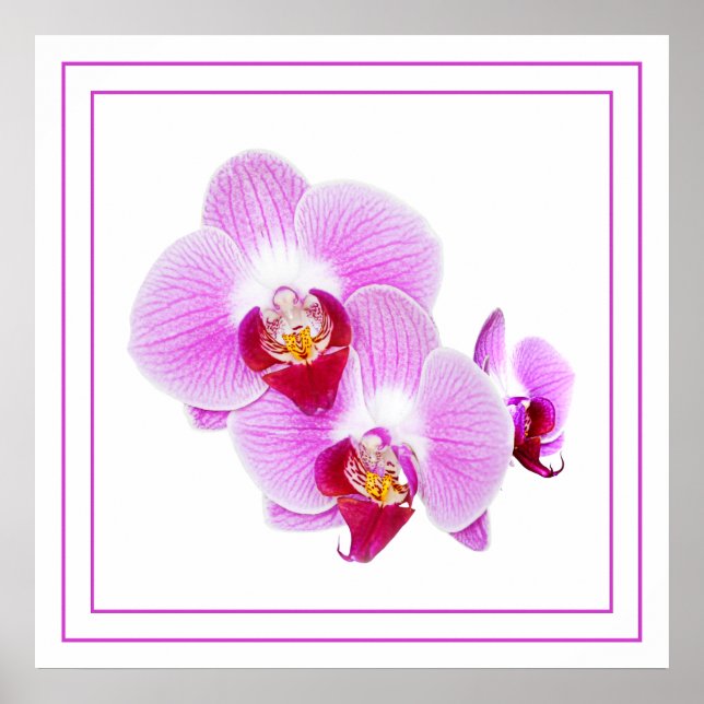 Purple Orchid Closeup Floral Photography Poster (Front)