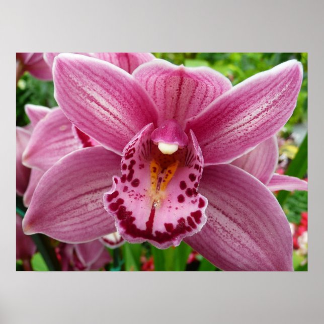 Purple Orchid Elegant Floral Poster (Front)