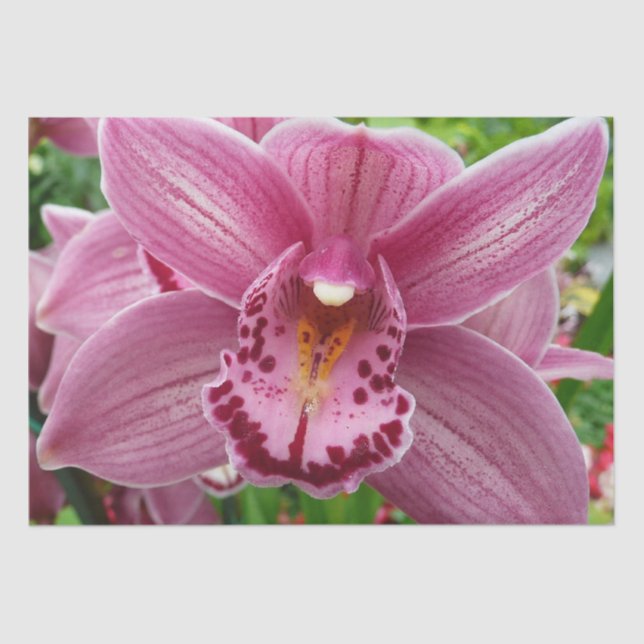 Purple Orchid Elegant Floral Tissue Paper (Front)