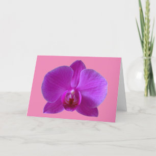 Purple Orchid Greeting Card