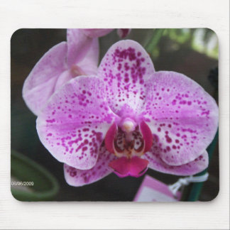 Purple orchid mouse pad