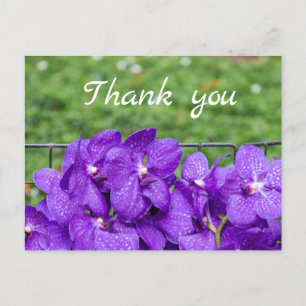 Purple orchid on green grass thank you postcard