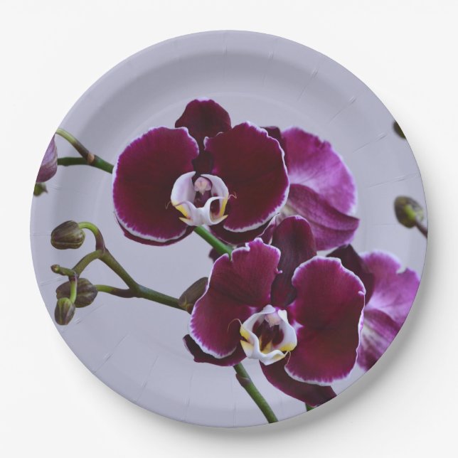 Purple Orchid Paper Plate (Front)