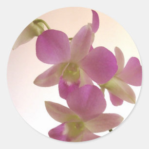 Purple Orchid Stickers