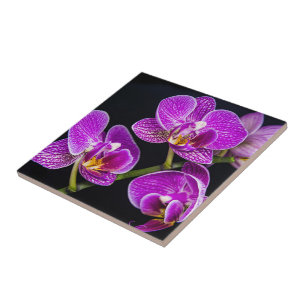 Purple orchid tile