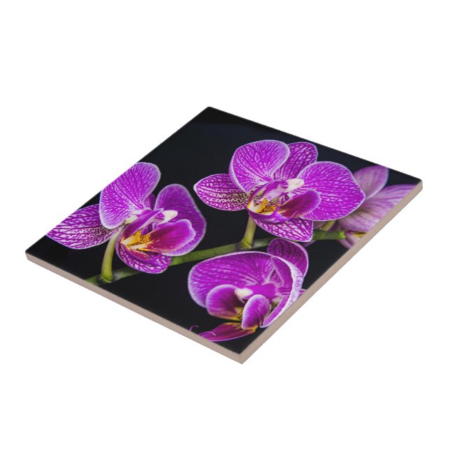 Purple orchid tile (Side)