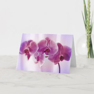 Purple Orchids Card