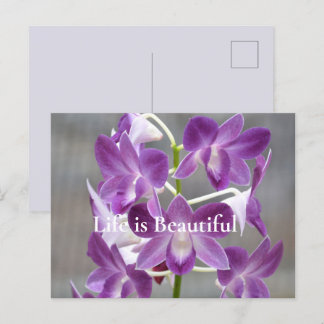 Purple Orchids Kauai Hawaii Postcard
