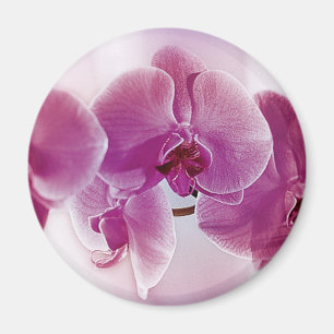 Purple Orchids Magnet