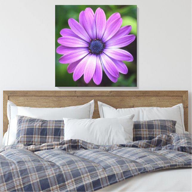 Purple Osteopermum Canvas Print (Insitu(Bedroom))