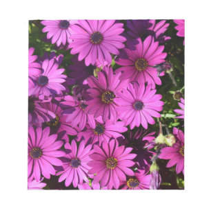 Purple Osteospermum Flowers Notepad